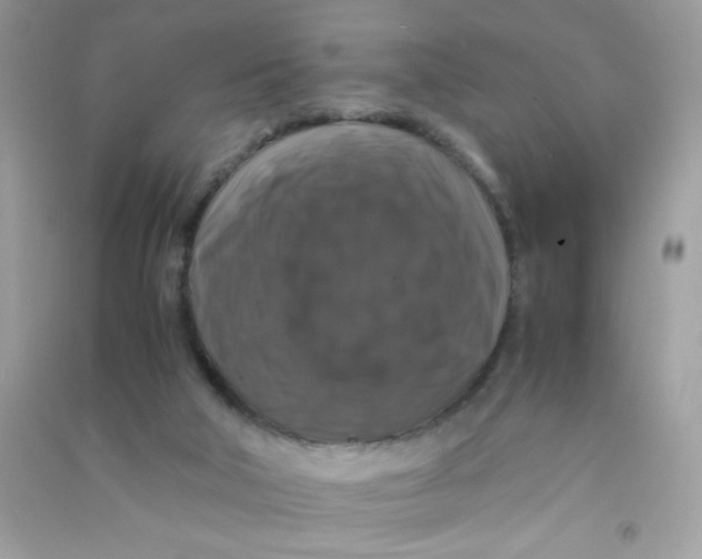 X0000090760018200708172057