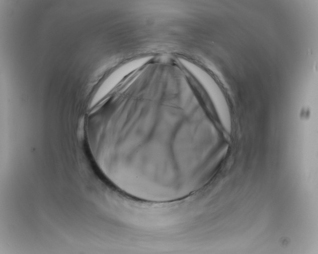 X0000090760019200708172057