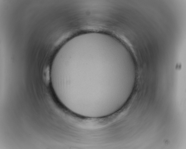 X0000090760020200708172057