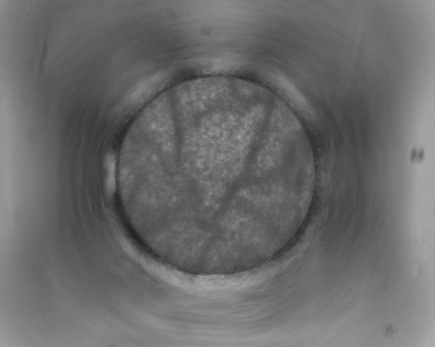 X0000090760022200708172057