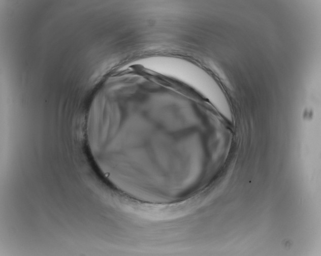 X0000090760023200708172057