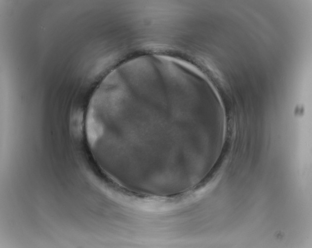 X0000090760024200708172057