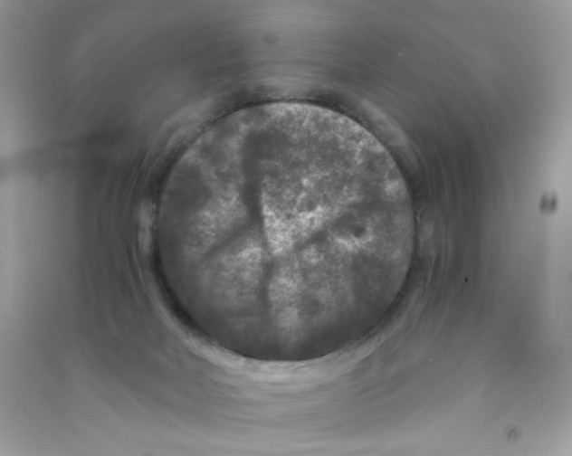 X0000090760026200708172057
