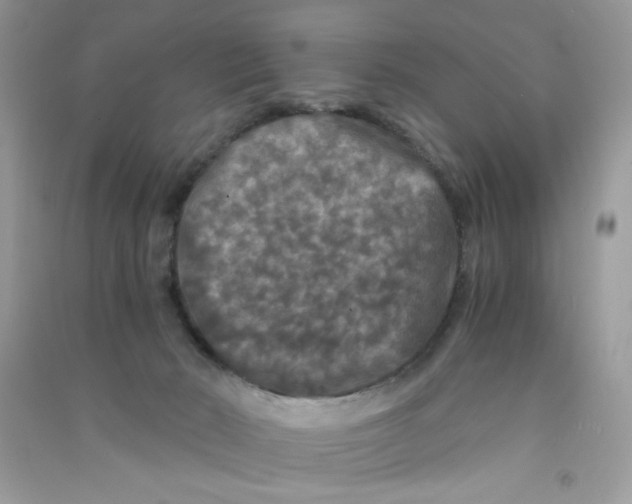 X0000090760030200708172057