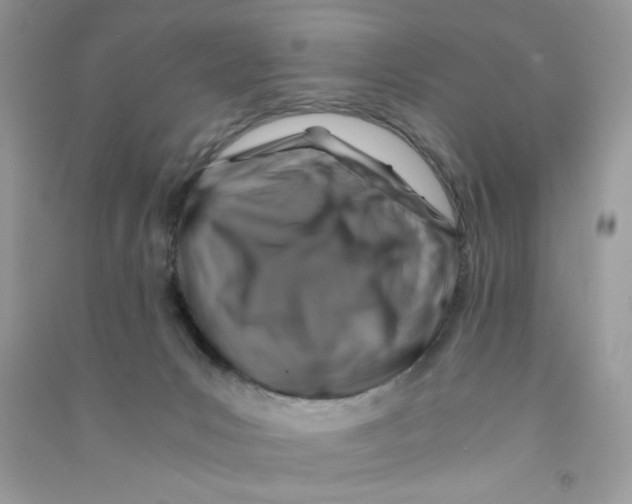 X0000090760031200708172057