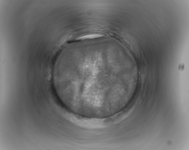 X0000090760032200708172057