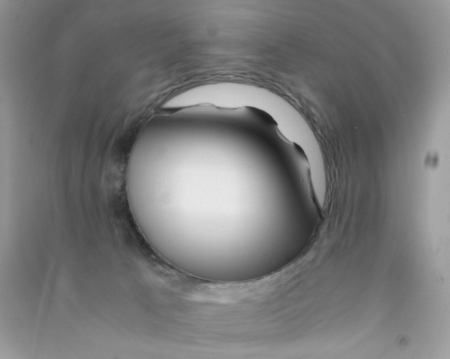 X0000090760033200708172057