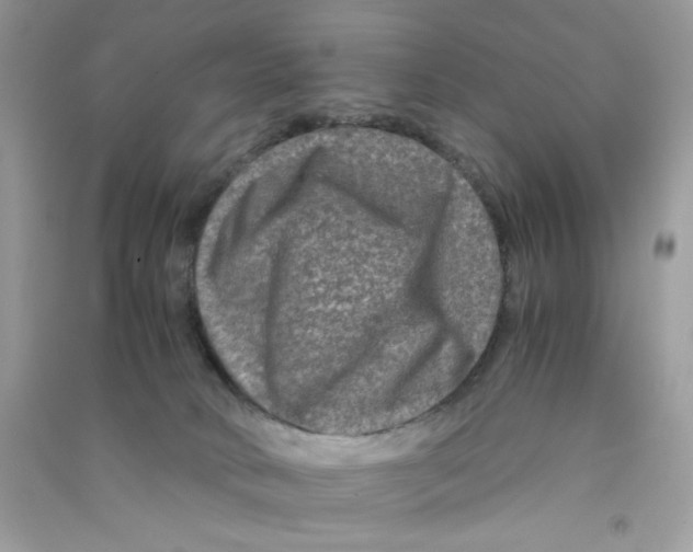 X0000090760034200708172057
