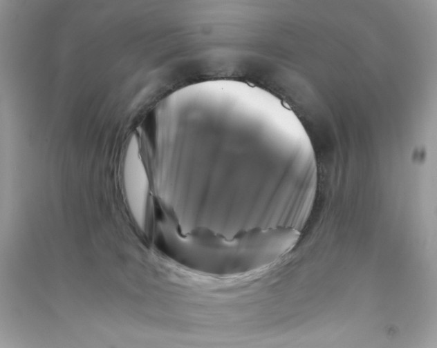 X0000090760035200708172057