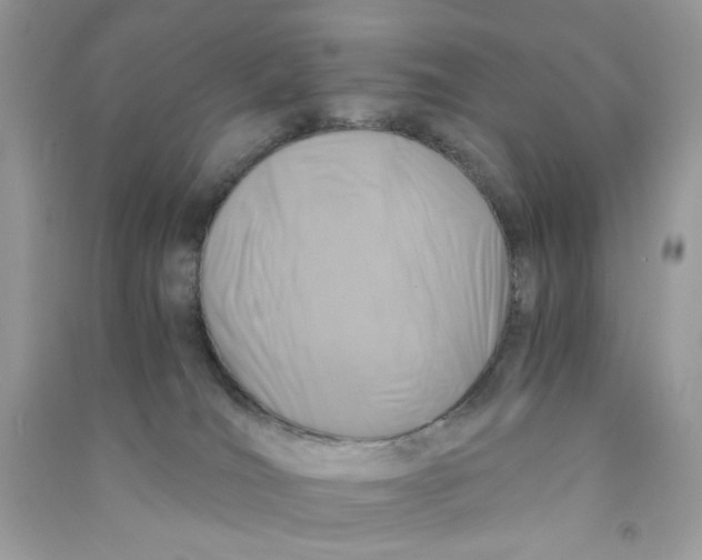 X0000090760036200708172057