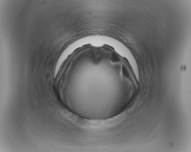 X0000090760037200708172056