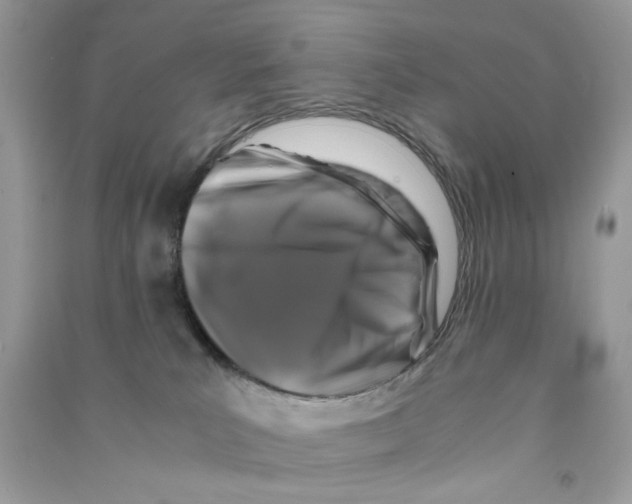 X0000090760039200708172056