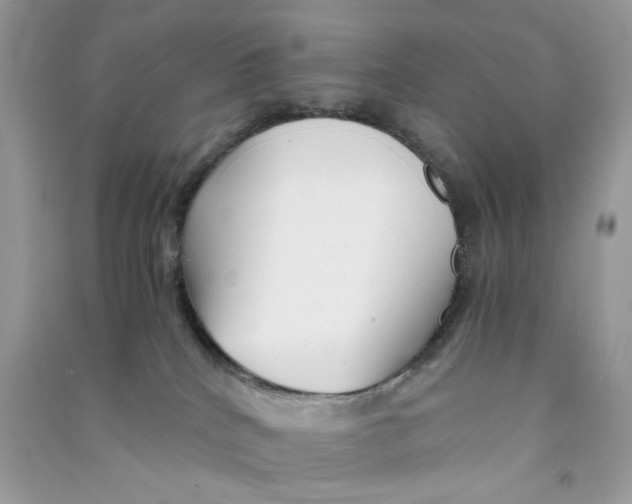 X0000090760040200708172056