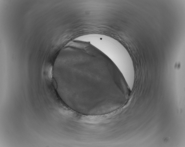 X0000090760041200708172056