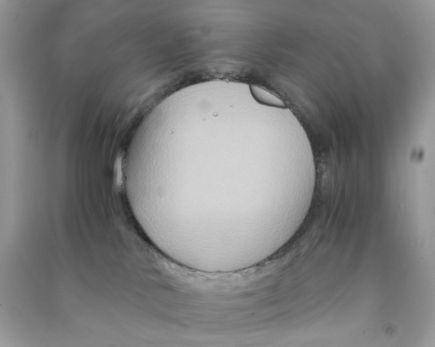 X0000090760042200708172056