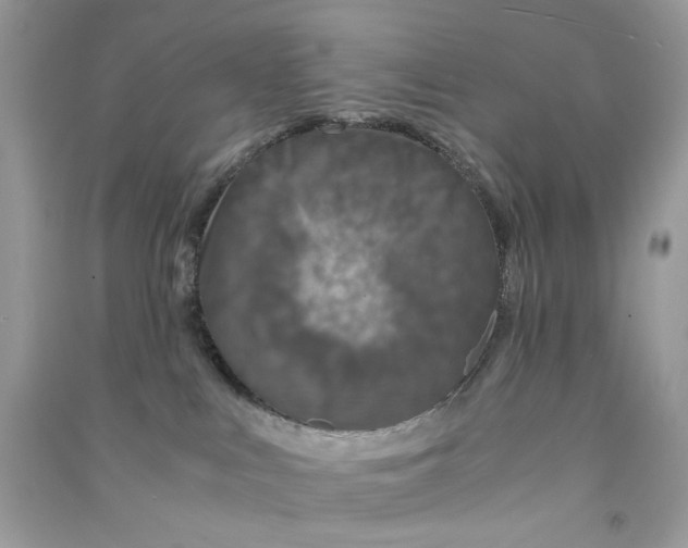 X0000090760043200708172056