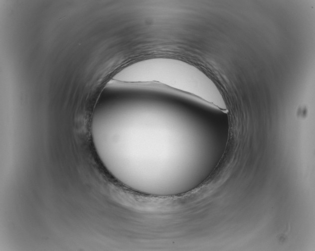 X0000090760044200708172056