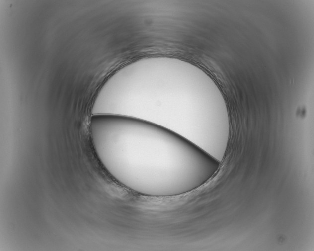 X0000090760045200708172056