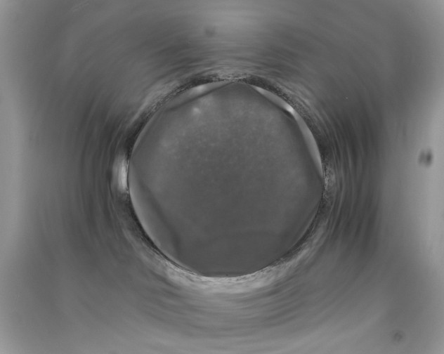 X0000090760046200708172056