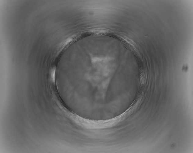 X0000090760047200708172056