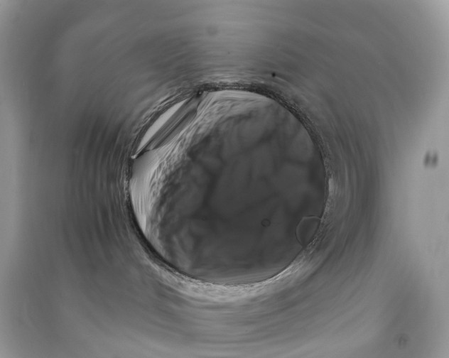 X0000090760048200708172056