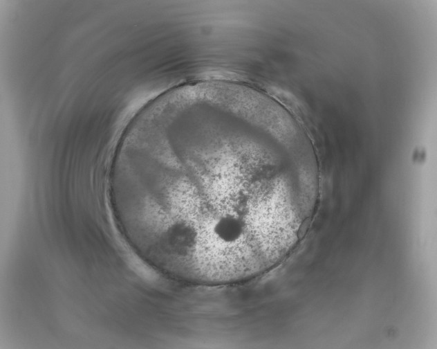 X0000090760049200708172056