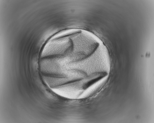 X0000090760050200708172056