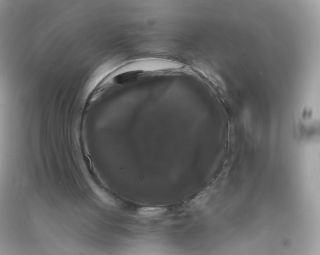 X0000090760051200708172056