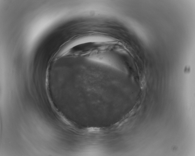 X0000090760052200708172056