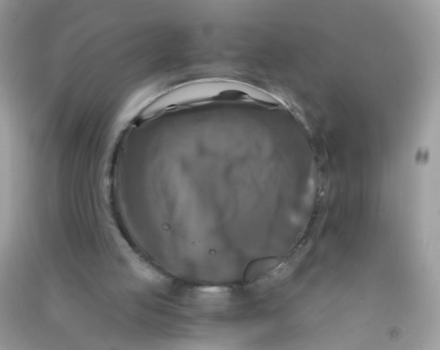 X0000090760053200708172056