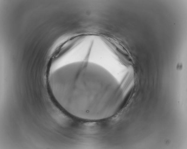 X0000090760054200708172056
