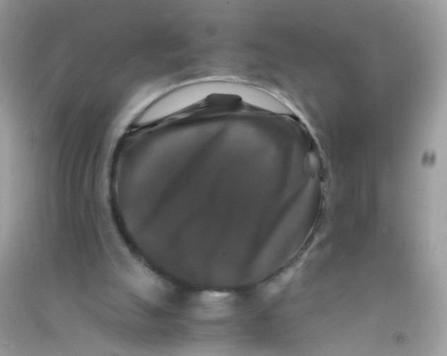 X0000090760055200708172056