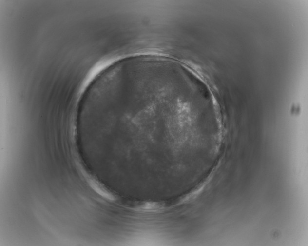 X0000090760056200708172056