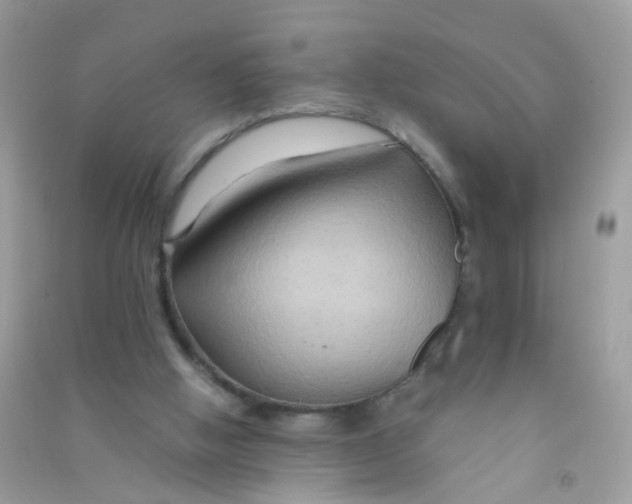 X0000090760058200708172056