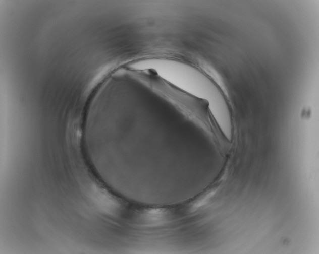 X0000090760059200708172056