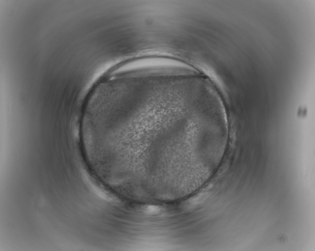 X0000090760060200708172056