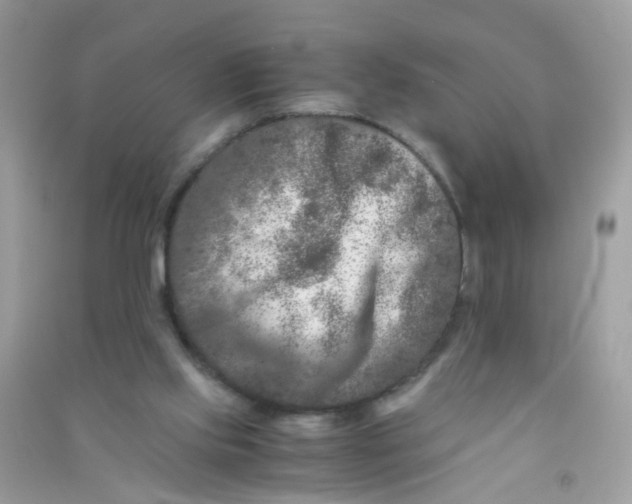 X0000090760061200708172056