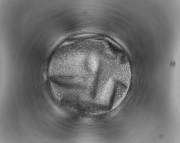 X0000090760062200708172056