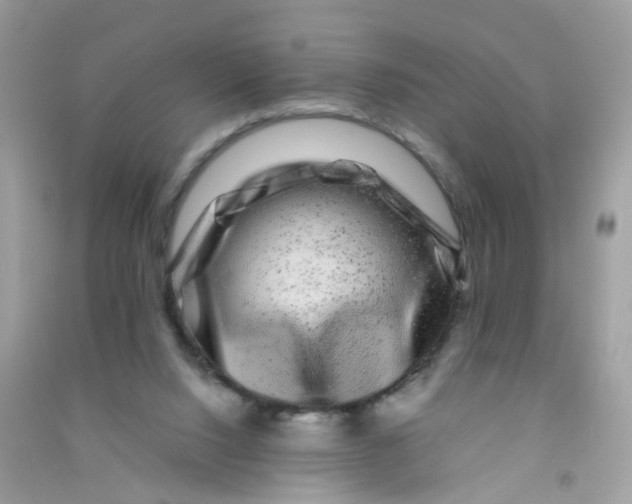 X0000090760064200708172056
