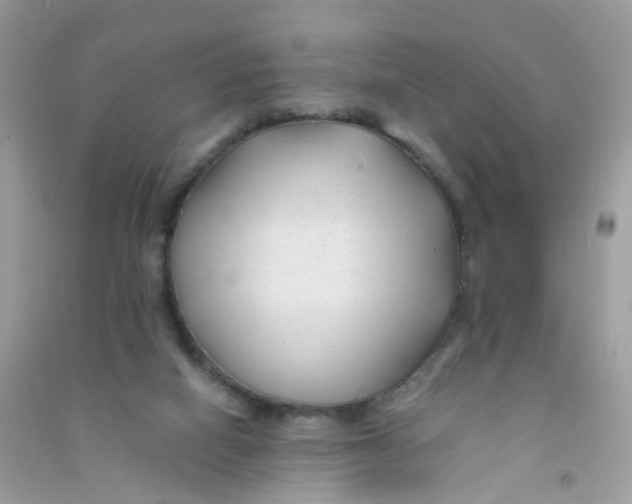 X0000090760066200708172056