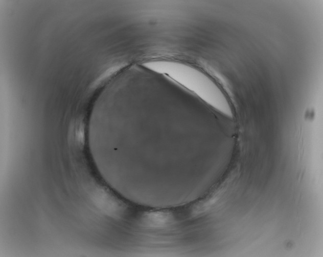 X0000090760067200708172056