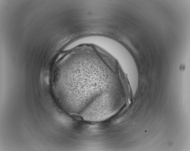 X0000090760068200708172056