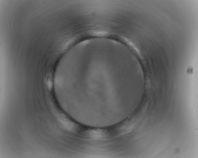 X0000090760069200708172056