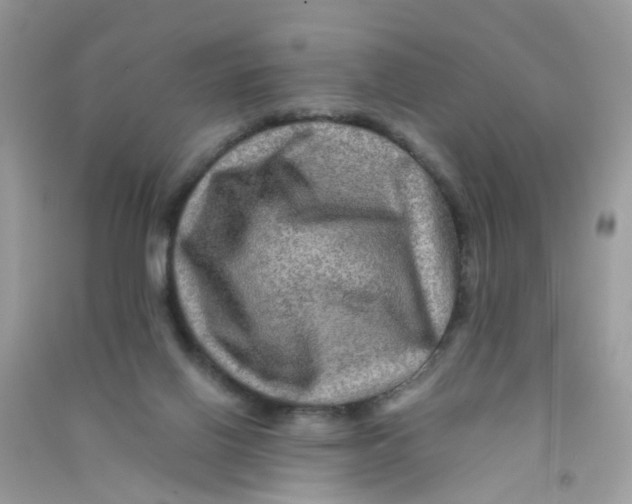X0000090760070200708172056