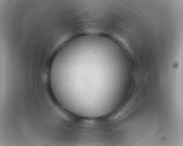 X0000090760071200708172056