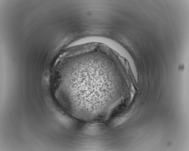 X0000090760072200708172056