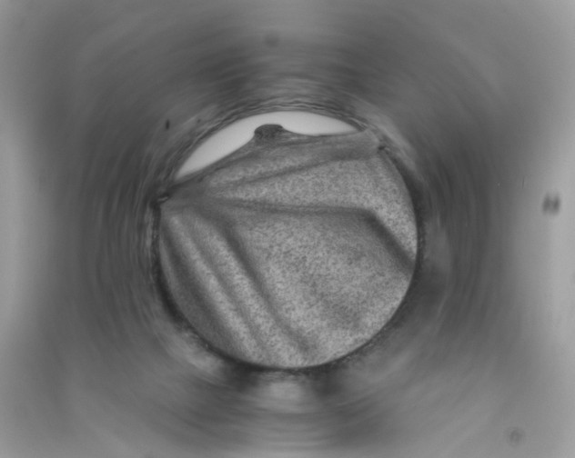 X0000090760073200708172056