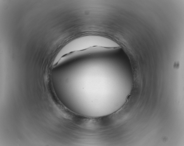 X0000090760074200708172056