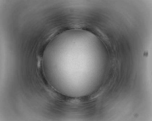 X0000090760075200708172056
