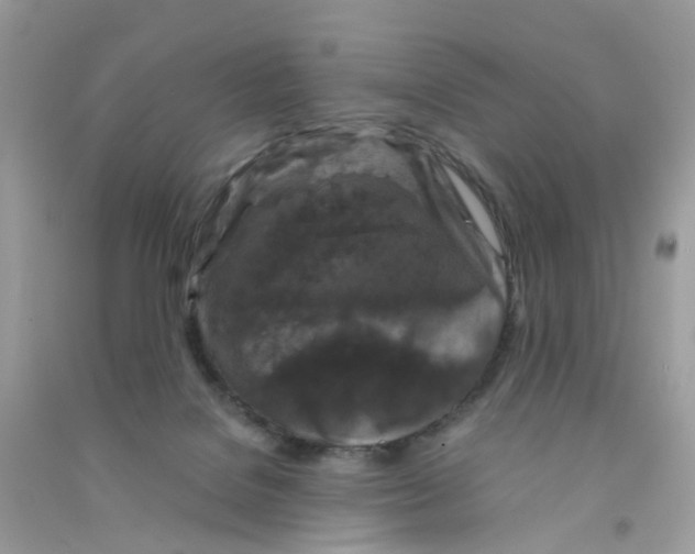 X0000090760076200708172056